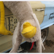 Image for article titled Faster Farms Chickens Join The LeMons Arse-Freeze-A-Palooza Upside-Down Brigade